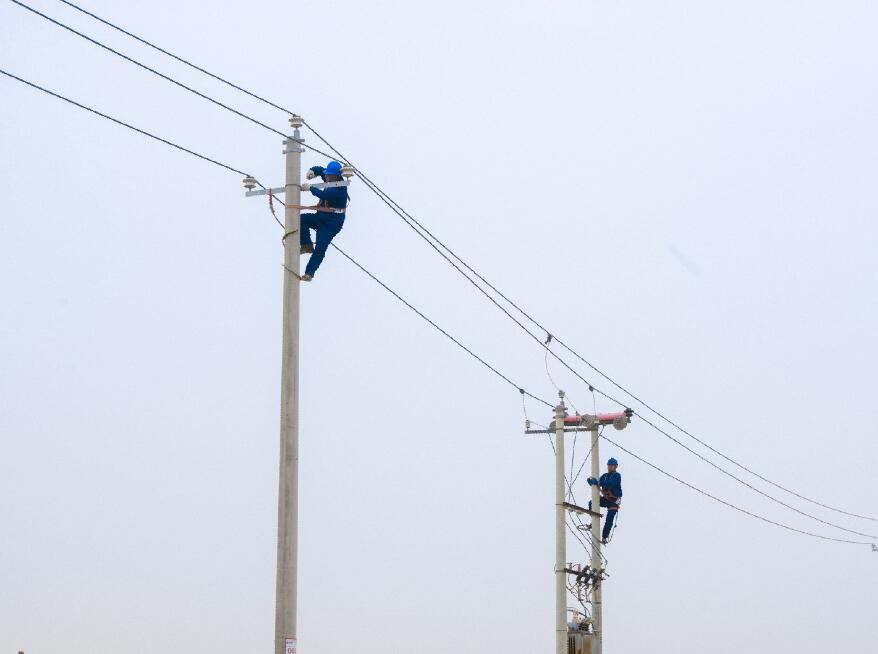 阿拉善供電公司：電網(wǎng)健康“體檢”，從登桿開始
