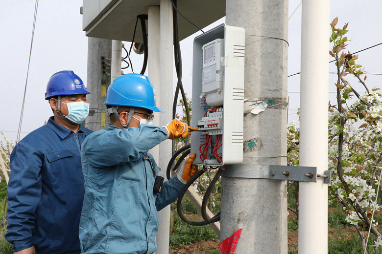 國網(wǎng)諸城市供電公司電力足，千畝梨園花正濃