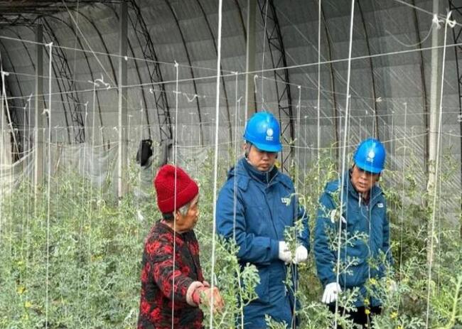 山東惠民供電公司：走訪種植大棚，優(yōu)化農(nóng)業(yè)營商環(huán)境