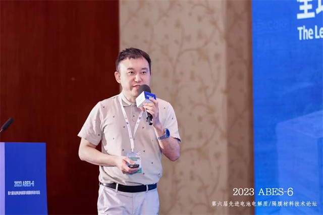 加快實現能源自主，比克鈉電電池展現顯著性能優(yōu)勢