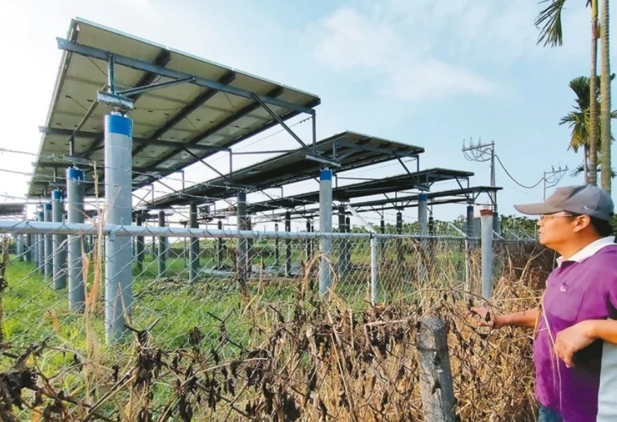 臺(tái)媒：農(nóng)田“種電”讓農(nóng)民苦不堪言，島內(nèi)面臨農(nóng)電兩失困境