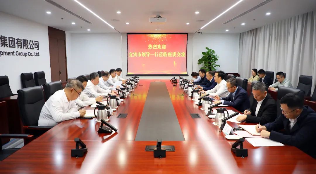 中國電氣裝備黨委副書記、總經(jīng)理周群會見宜賓市委書記方存好