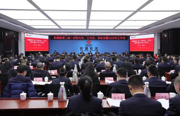 國能新疆能源召開二屆一次職代會、工代會、表彰會暨2025年工作會